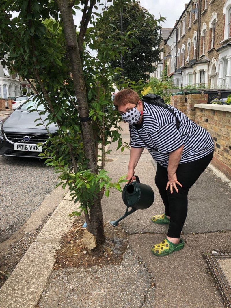 Cllr Hearn watering a young tree in her neighbourhood